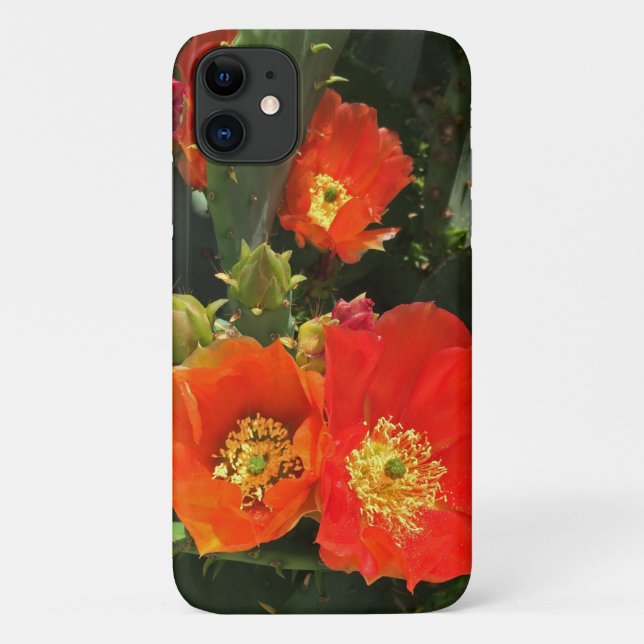 Capa Para iPhone 11 Cactus Flower Photo Bright Blogue Southwest (Verso)