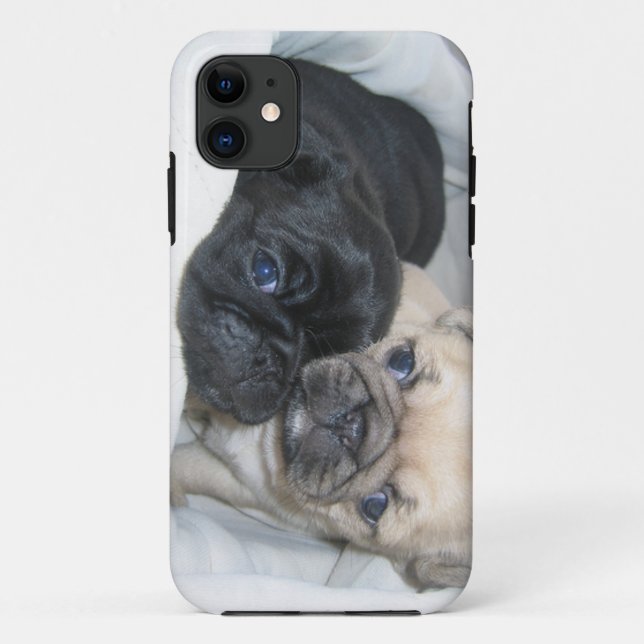 Capa Para iPhone 11 Caixa de dois pugs (Verso)