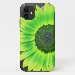 Capa Para iPhone 11 Caixa verde e amarela do iPhone 5 do girassol