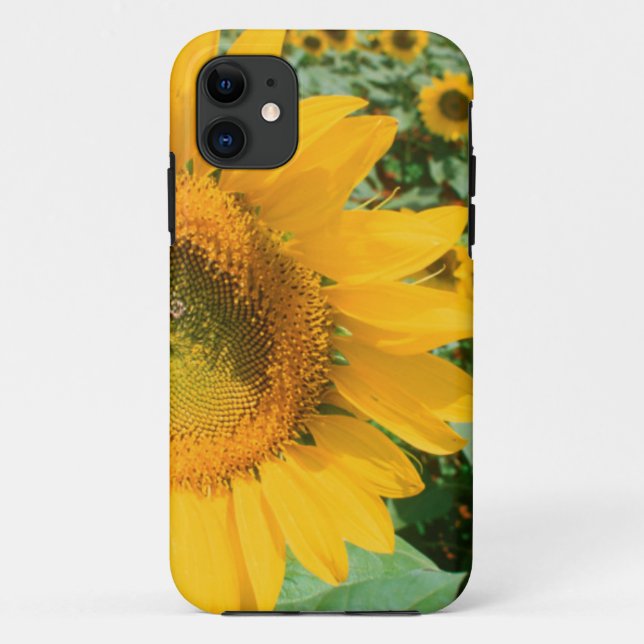Capa Para iPhone 11 Campo de Girassóis. Distrito de Heidleberg (Verso)