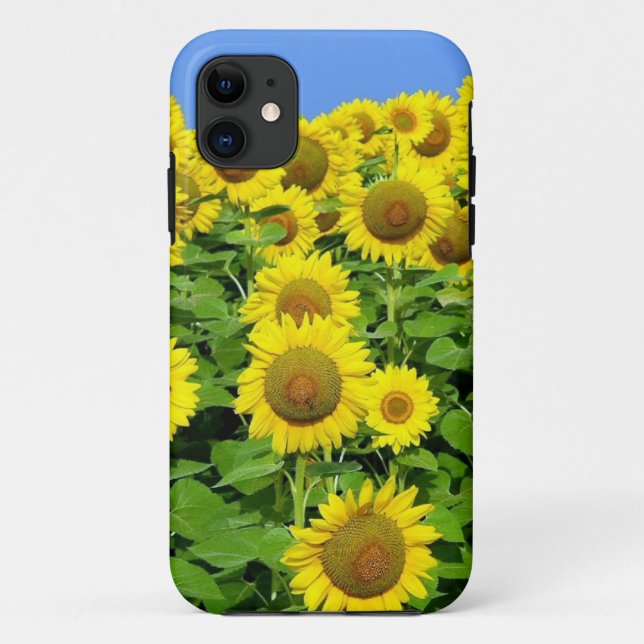 Capa Para iPhone 11 Campos do girassol (Verso)