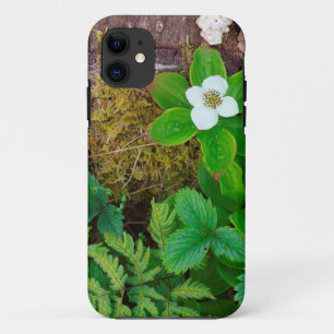 Capa Para iPhone 11 Canadá, Nova Brunswick, , 2