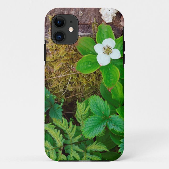 Capa Para iPhone 11 Canadá, Nova Brunswick, ,  2 (Verso)