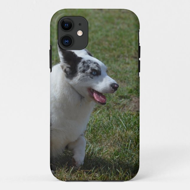 Capa Para iPhone 11 Cão azul do Corgi de Merle (Verso)