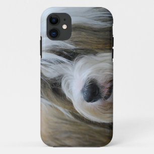 Capa Para iPhone 11 Cão bonito de Terrier tibetano