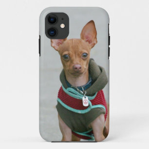 Capa Para iPhone 11 Cão da chihuahua