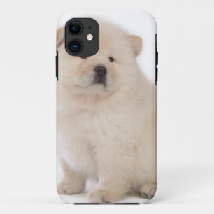 Capa Para iPhone 11 cão de filhote de cachorro branco bonito do