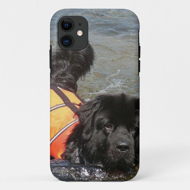 Capa Para iPhone 11 Cão de Terra Nova (Verso)