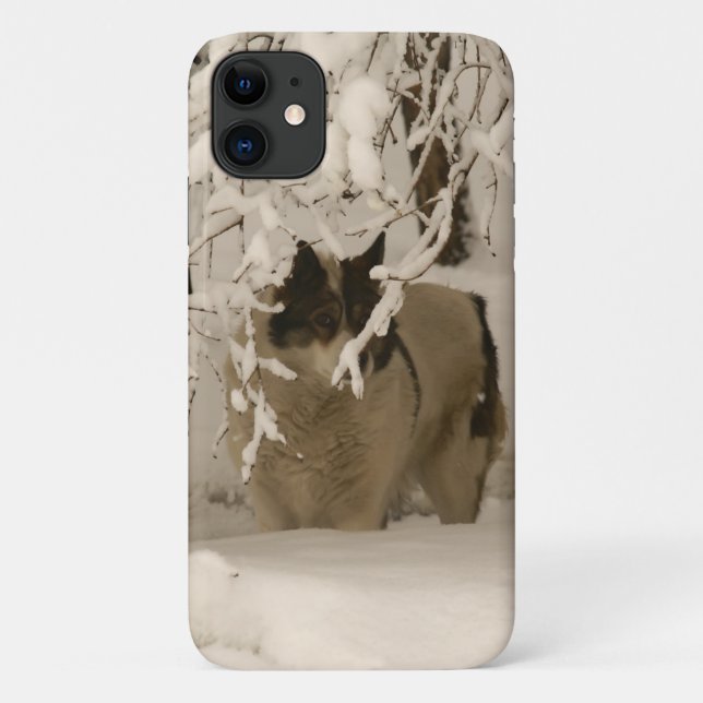 Capa Para iPhone 11 Cão no inverno (Verso)
