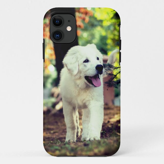 Capa Para iPhone 11 Cão, Pet, Canino (Verso)