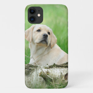 Capa Para iPhone 11 Cãozinho Labrador