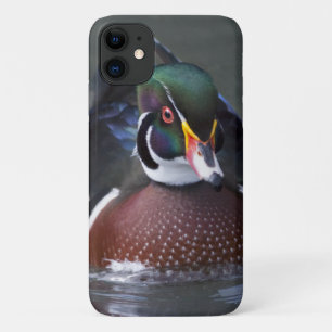 Capa Para iPhone 11 Capa de iPhone 11 do Pato-de-madeira Americano
