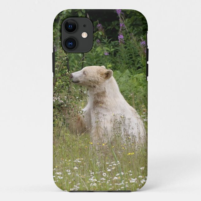 Capa Para iPhone 11 Capa de iPhone da Vida Selvagem do Urso Espírito K (Verso)
