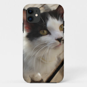 Capa Para iPhone 11 Capa de iphone de gatinho
