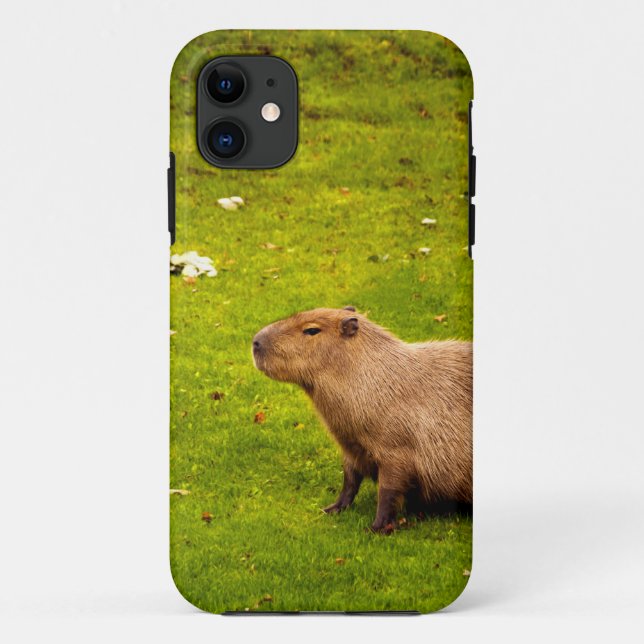Capa Para iPhone 11 Capivara (Verso)