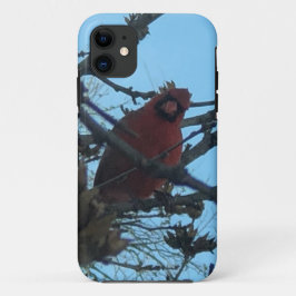 Capa Para iPhone 11 Cardinal 