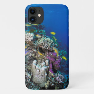 Capa Para iPhone 11 Cardumes de Salmonete em torno de Pequeno Coral