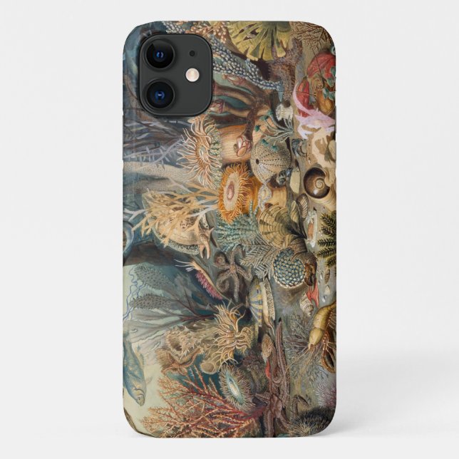 Capa Para iPhone 11 Case-Mate Mal Há Caso Do Apple iPhone 11 (Verso)