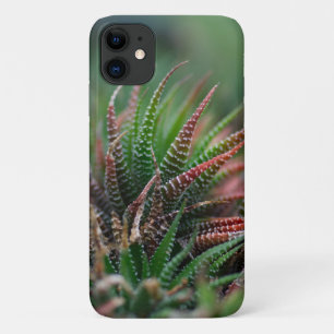 Capa Para iPhone 11 Case-Mate Mal Há Caso Do Apple iPhone 11