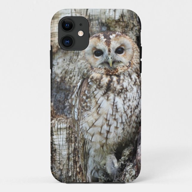 Capa Para iPhone 11 Case-Mate Tough Apple iPhone 11 Case (Verso)