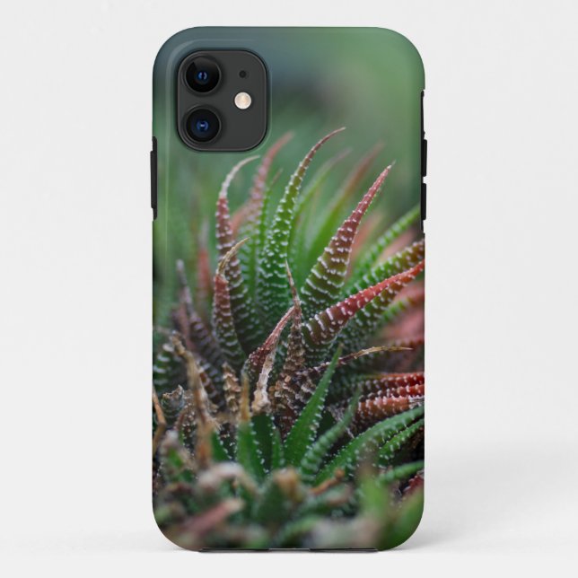 Capa Para iPhone 11 Case-Mate Tough Apple iPhone 11 Case (Verso)