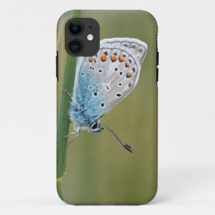 Capa Para iPhone 11 Case-Mate Tough Apple iPhone 11 Case