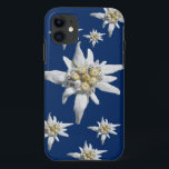 Capa Para iPhone 11 Caso de Edelweiss no fundo azul escuro<br><div class="desc">Flor de Edelweiss do Alpes em um fundo azul escuro</div>