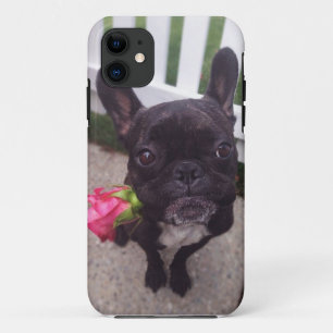 Capa Para iPhone 11 Caso do iPhone 5/5S do buldogue francês