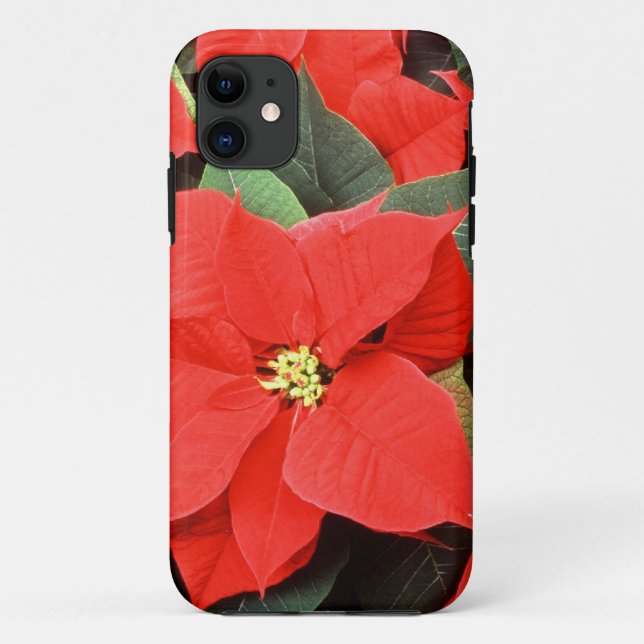 Capa Para iPhone 11 Caso do iPhone 5 de Pointsettia de Natal (Verso)