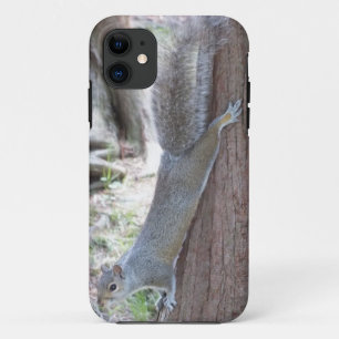 Capa Para iPhone 11 Caso do iPhone 5 do esquilo