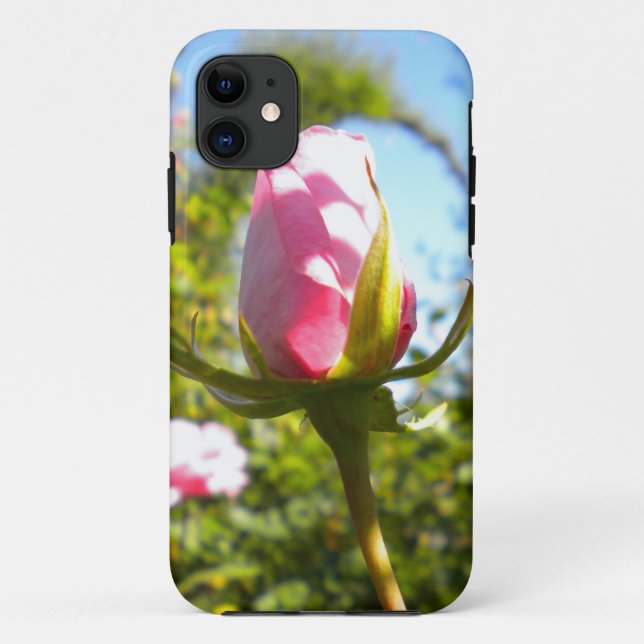 Capa Para iPhone 11 Caso do iPhone 5 Rosa Rosa Rosa Rosa Rosa Rosa Ros (Verso)