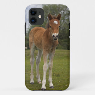 Capa Para iPhone 11 Caso Foal iPhone 5
