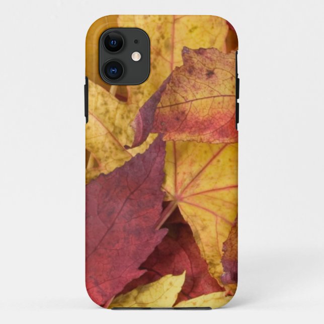 Capa Para iPhone 11 Caso iPhone5 de Folgas (Verso)