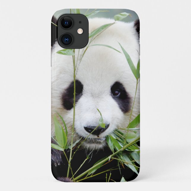 Capa Para iPhone 11 Caso Panda gigante da foto, panda geant, animais. (Verso)