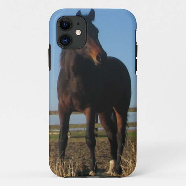 Capa Para iPhone 11 Cavalo de baía (Verso)