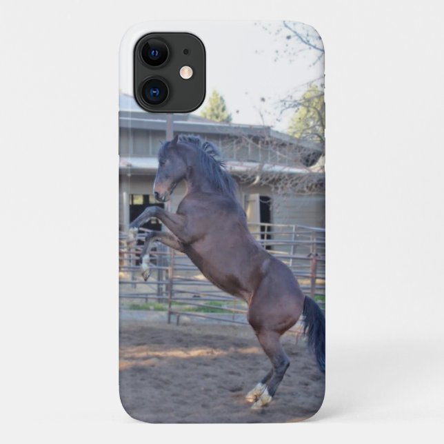 Capa Para iPhone 11 Cavalo de Criação 1 (Verso)