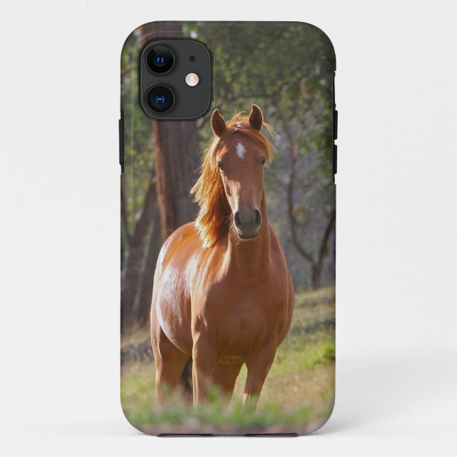 Capa Para iPhone 11 Cavalo nas madeiras (Verso)