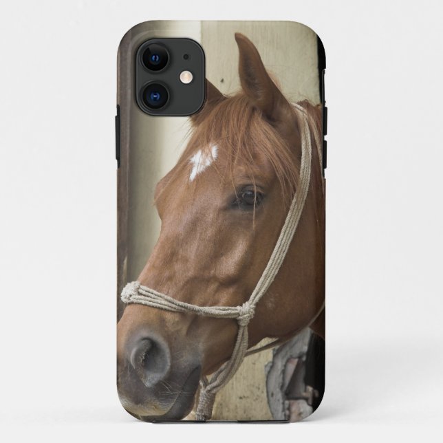 Capa Para iPhone 11 Cavalos árabes (Verso)
