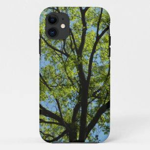 Capa Para iPhone 11 Cena da natureza do verde do carvalho do primavera