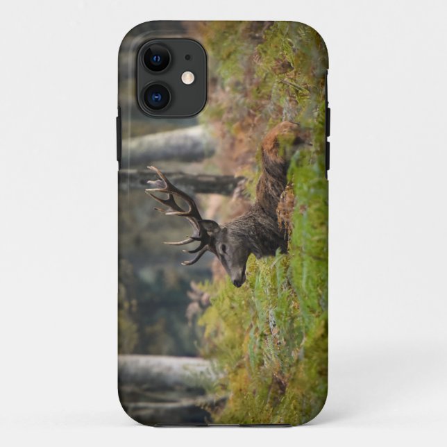 Capa Para iPhone 11 Cerf en forêt de fontainebleau (Verso)