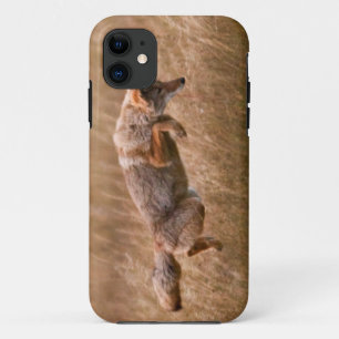 Capa Para iPhone 11 Chacal que pula - prados do Gibbon