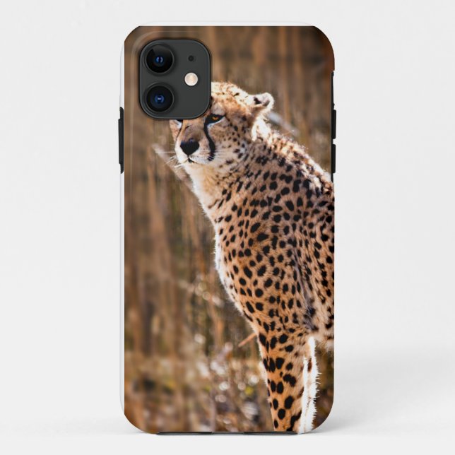 Capa Para iPhone 11 Cheetah (Verso)