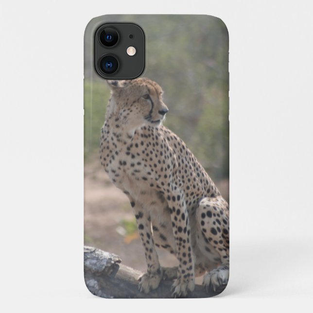Capa Para iPhone 11 Cheetah (Verso)