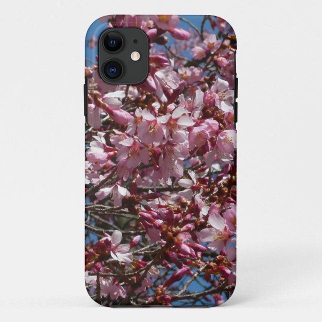 Capa Para iPhone 11 Cherry Blossoms e Blue Sky Primavera Floral (Verso)