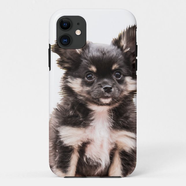 Capa Para iPhone 11 Chihuahua Puppy Dog (Verso)
