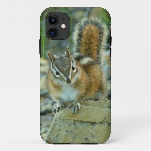 Capa Para iPhone 11 Chipmunk no Parque Nacional Glacier (Verso)