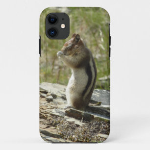 Capa Para iPhone 11 Chipmunk no Parque Nacional Glacier II