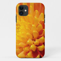 Chrysanthemum Amarelo e Laranja