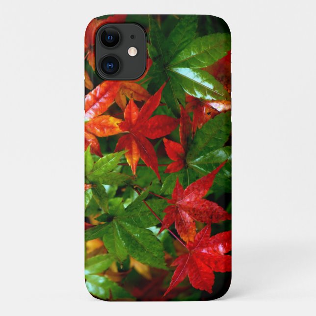Capa Para iPhone 11 Chuva do outono (Verso)