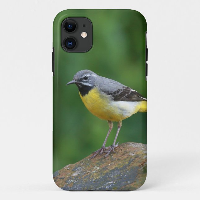 Capa Para iPhone 11 Cinza Wagtail - pássaro (Verso)